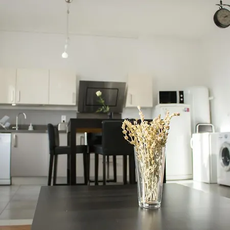Nice Two Flat - 55 Sqm Lyon